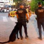 Un inmigrante de origen magrebí es detenido tras intentar un atropello masivo en Cieza, Murcia. La rápida acción policial evitó una tragedia.