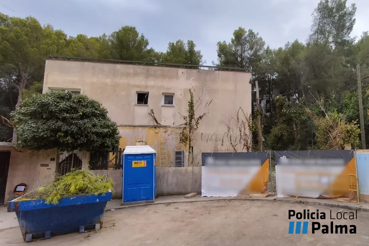 La Policía Local de Palma intervino en una tala ilegal de árboles en San Agustín, denunciada por incumplir la Ley de Urbanismo de Baleares.