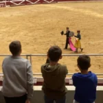 El Parlament de Baleares aprueba permitir el acceso de menores a corridas de toros acompañados de un adulto, gracias a los votos de PP y Vox.