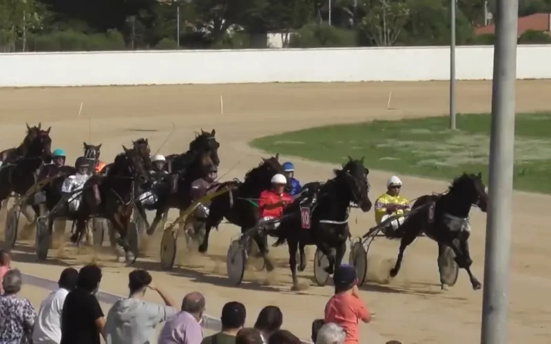 Jockey de Ciutadella encarcelado tras cuatro denuncias de abuso sexual a menores. La Policía investiga posibles nuevas víctimas.