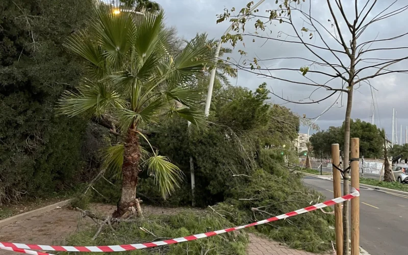 Ascienden a casi 300 los incidentes registrados en Baleares por el viento