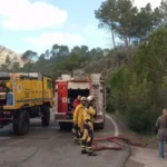 El 112 pide voluntarios de Protección Civil con formación y EPI para ayudar en el incendio forestal de Andratx. Condiciones complicadas por fuertes vientos.