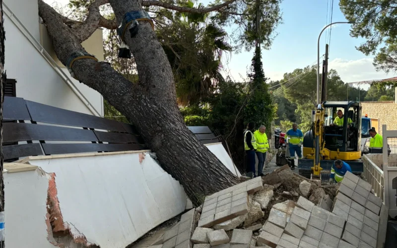 El temporal de viento provoca cortes de carreteras y deja sin luz Llubí y parte de Pollença