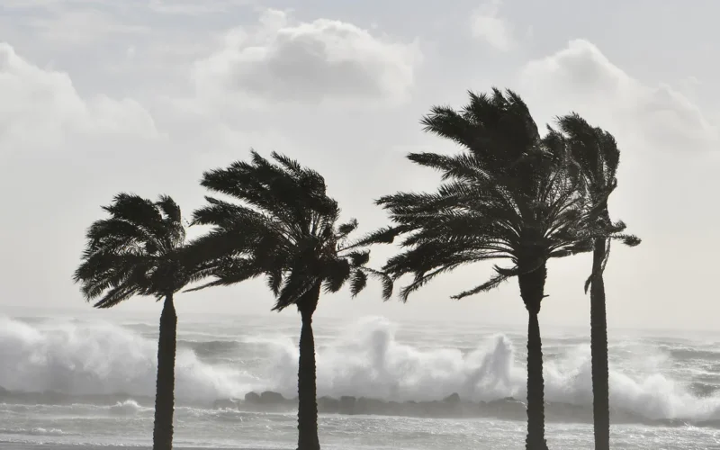 Alerta naranja por temporal de viento y oleaje: Palma cierra accesos y toma medidas de precaución